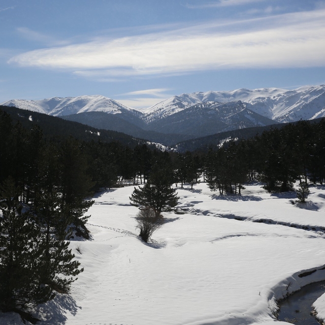 Kar yağışı sonrası Akdağ Tabiat Parkı'nda masalsı kış görüntüsü
