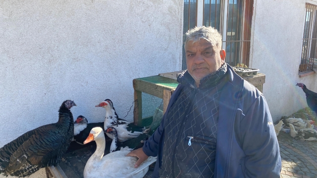 Hindi var, kaz var alıcı yok: Tezgâhlarda durgunluk