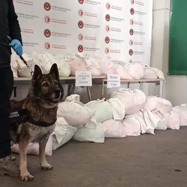 Kapıkule'ye gelen TIR'daki 591 kilo uyuşturucuyu 'Bodri' buldu