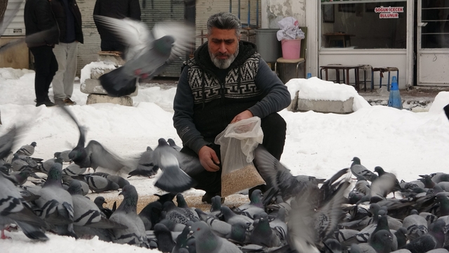 Van'da kar sonrası güvercinlerden görsel şölen
Van'da Mevlüt İzci'nin güvercinlerle 24 yıllık dostluğu