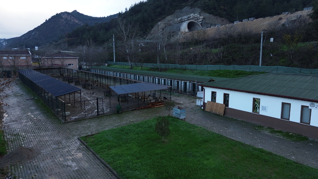 Bilecik'te bacağı kırılan sahipsiz köpek tedavi edildi