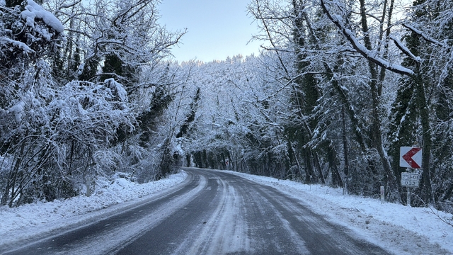 'Ağaç tünel yol'da beyaz güzellik