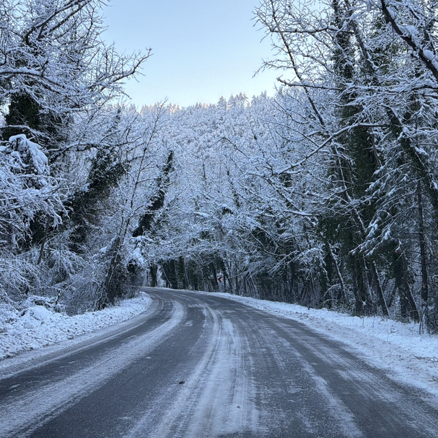 'Ağaç tünel yol'da beyaz güzellik