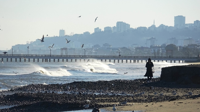 Dev dalgaların ardından Samsun sahilinde taşlı manzara
Dalgalar çekildi, sahile savrulan taşlar ortaya çıktı