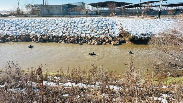Kayıp sürücüyü arama çalışması devam ediyor