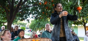 Antalya'nın turunçları Korkuteli'nden sofralara uzanıyor