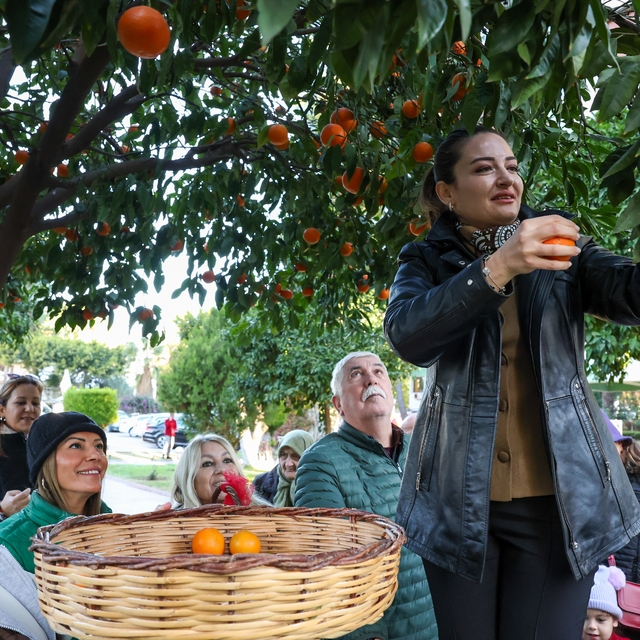 Antalya'nın turunçları Korkuteli'nden sofralara uzanıyor