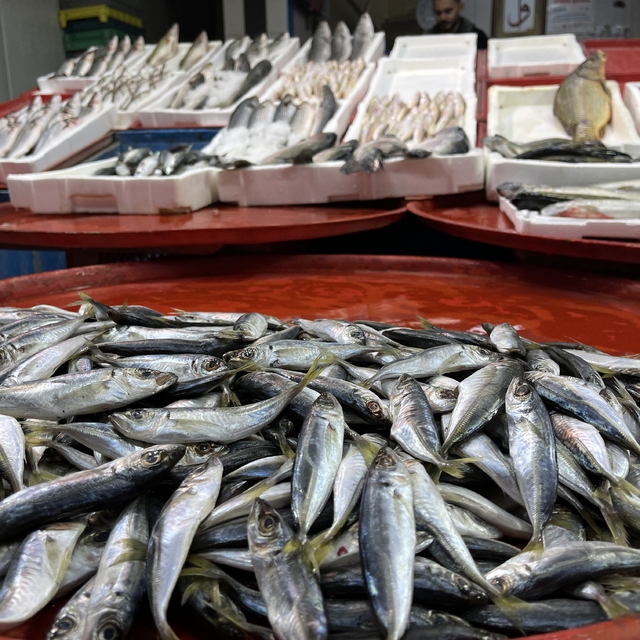 Geciken kış Konya'da balığı da vurdu