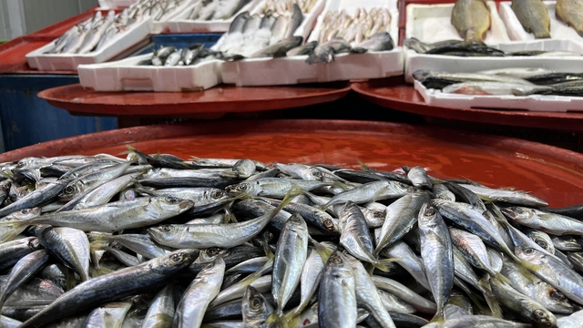 Geciken kış Konya'da balığı da vurdu