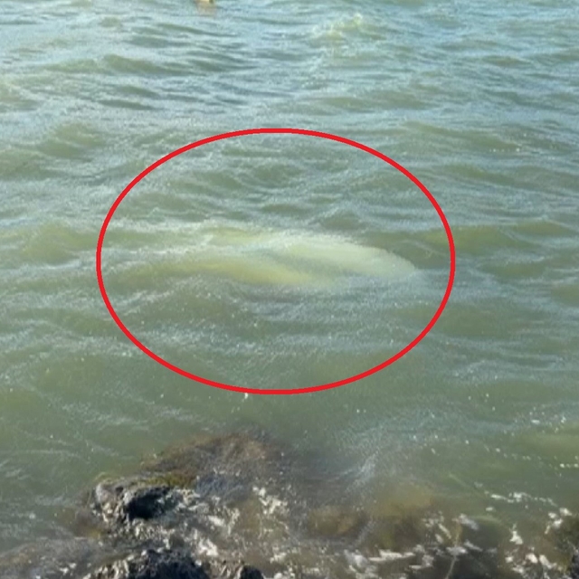 Karadeniz'de fırtına: Samsun'da 3 tekne battı