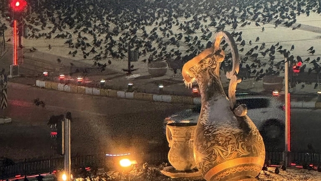 Akşam saatlerinde dikkat! Erzincan'da kargalar sokakları sardı