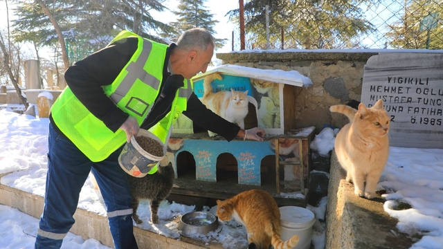 Elazığ'da doğaya yem bırakıldı