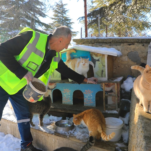 Elazığ'da doğaya yem bırakıldı