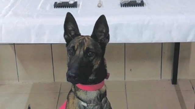 Kırşehir'de uyuşturucu operasyonunda 1 zanlı yakalandı