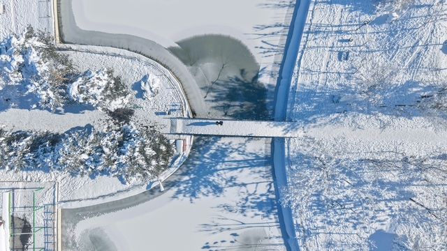 Muş'ta eksi 28 derece: Göletler dondu, çatılarda buz sarkıtları oluştu