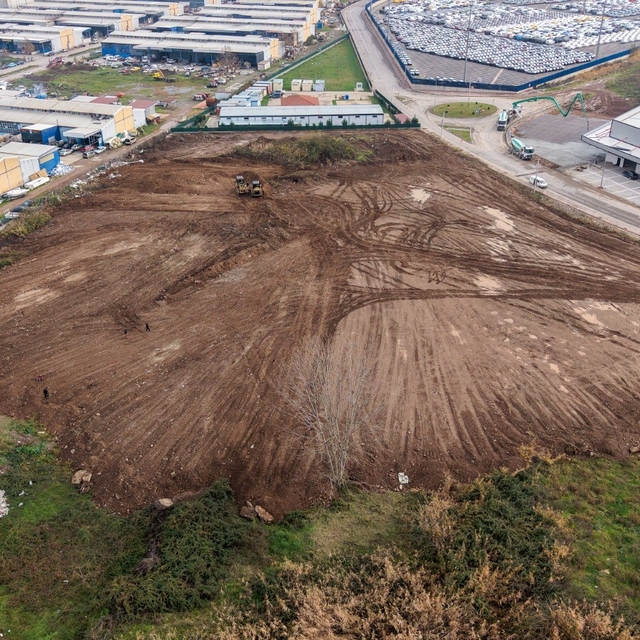 Sokak hayvanlarının yaşam alanı genişletiliyor