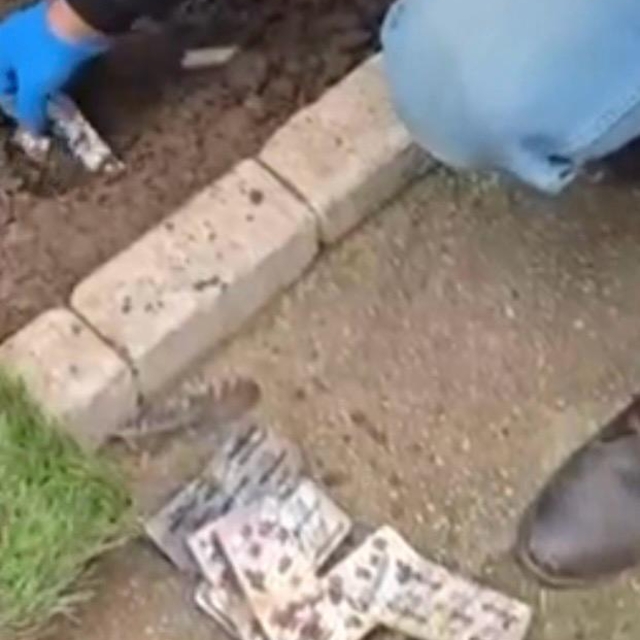 İzmir'de toprağa gömülü uyuşturucu ecza bulundu