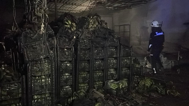 Alanya'da muz sarartma tesisinde yangın: Tonlarca muz zarar gördü