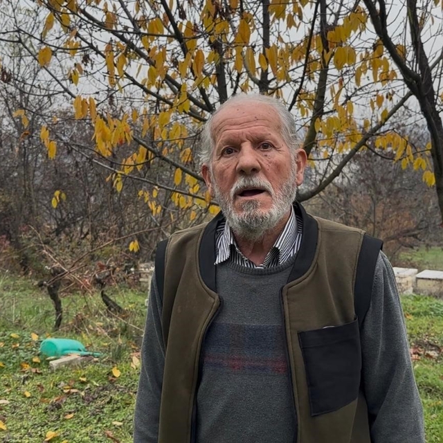 Zirai ilaç yüzünden milyonlarca arısı kovana dönemeden öldü