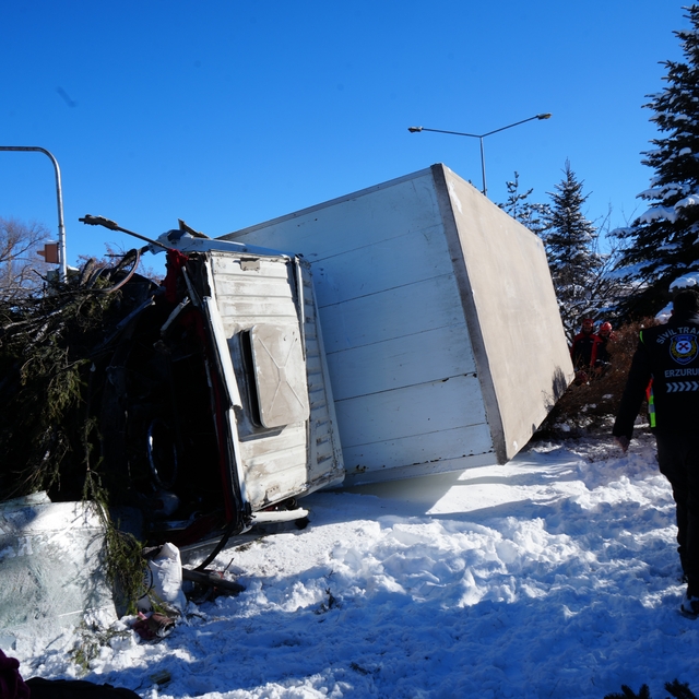 Işıklarda duramayan kamyon devrildi, çarptığı ağacı kökünden söktü