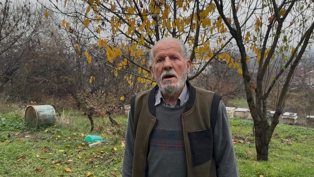 Zirai ilaç yüzünden milyonlarca arısı kovana dönemeden öldü