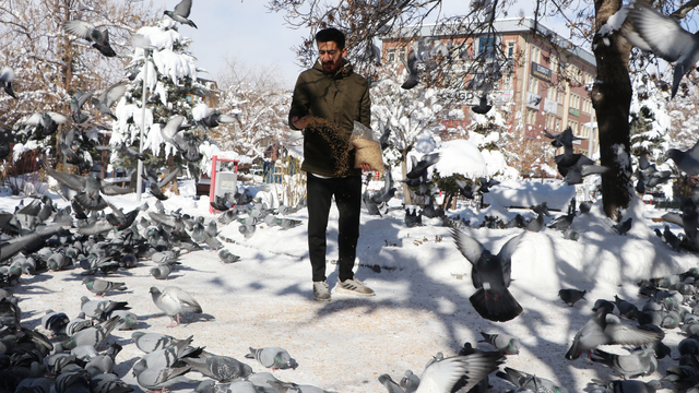 Esnaf, sokaktaki güvercinleri 20 yıldır besliyor