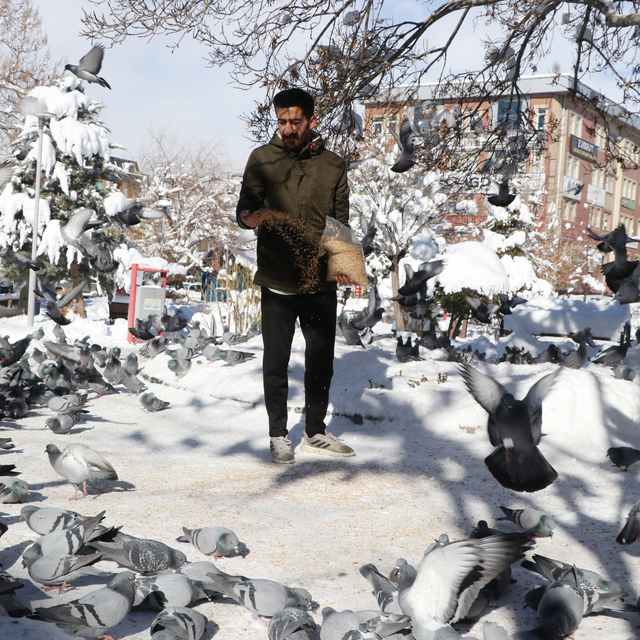 Esnaf, sokaktaki güvercinleri 20 yıldır besliyor