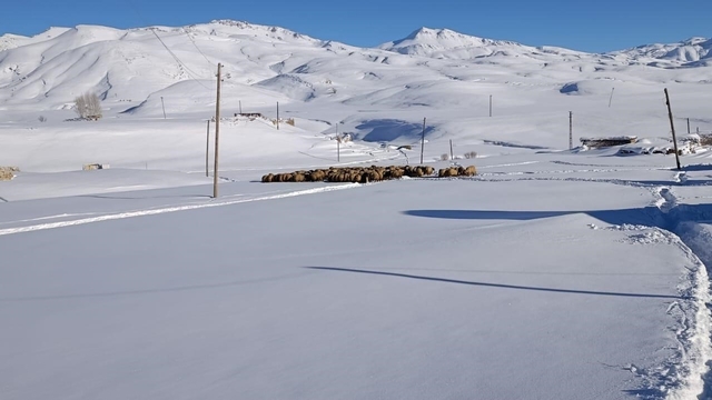 Koyunları için dondurucu soğukta yaylada kaldılar