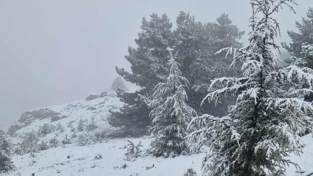 Muğla'da Göktepe beyaza büründü