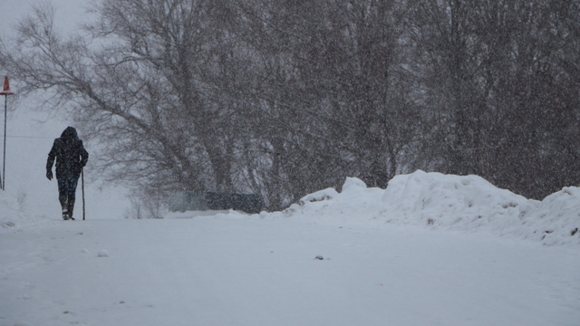 Bingöl'de kar yağışı yeniden etkili oldu