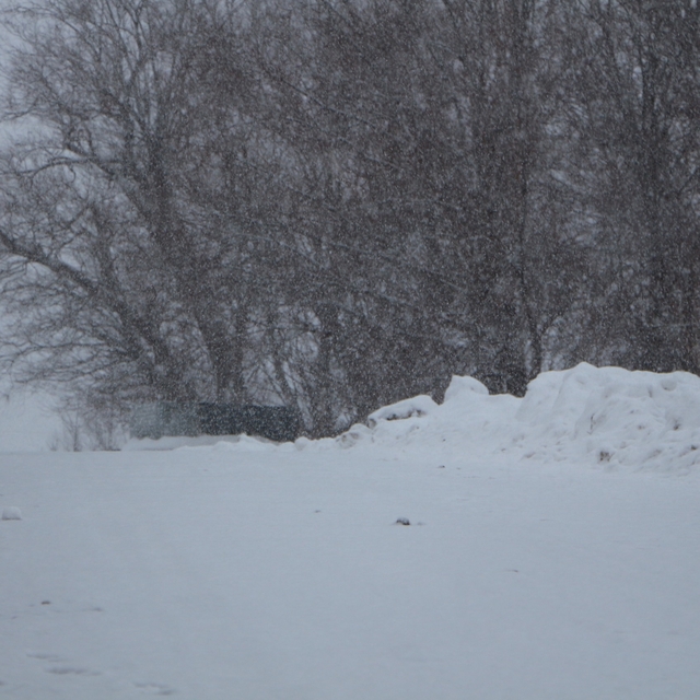 Bingöl'de kar yağışı yeniden etkili oldu