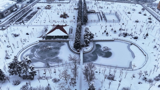 Muş'ta dondurucu soğuklar nedeniyle Karasu Nehri dondu