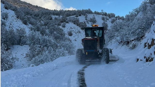 Bingöl'de yoğun kar yağışı: 100 köy yolu kapalı