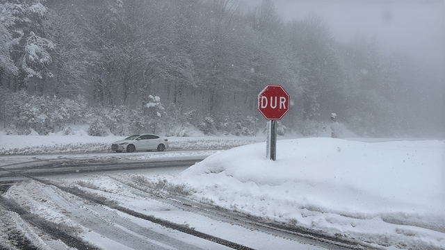 Bolu Dağı'nda kar yağışı yeniden başladı