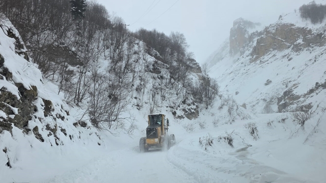 Artvin'de çığ meydana geldi