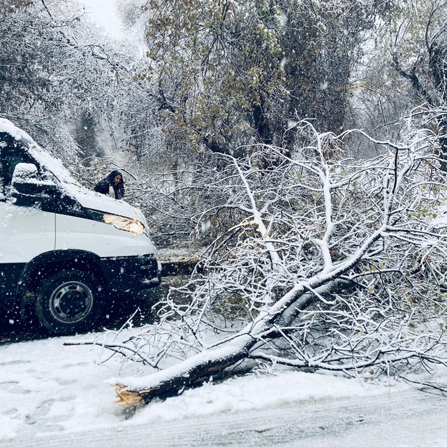 Birecik'te kara dayanamayan ağaç dalları araçların üzerine devrildi