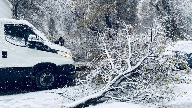 Birecik'te kara dayanamayan ağaç dalları araçların üzerine devrildi