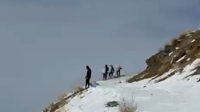 Zirveye şefkat tırmanışı: Yüksekova'da dağ keçileri için metrelerce karı aştılar