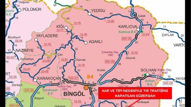 Bingöl'de kar yağışı; 100 köy yolu ulaşıma kapandı (3)