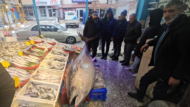 Atlantik Okyanusu'nda tutulan 287 kilogramlık orkinos vatandaşların ilgi odağı oldu