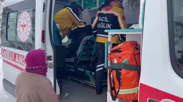 Batman'da 203 yerleşim yerinin yolu kardan kapandı (3)