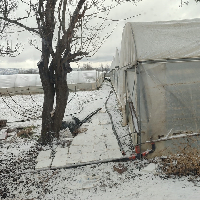 Kar yağışı sebebiyle seralar buz tuttu