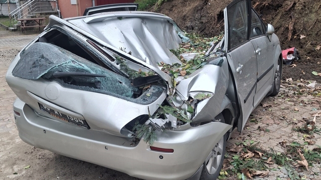 Giresun'da devrilen ağaç bir aracı kullanılamaz hale getirdi