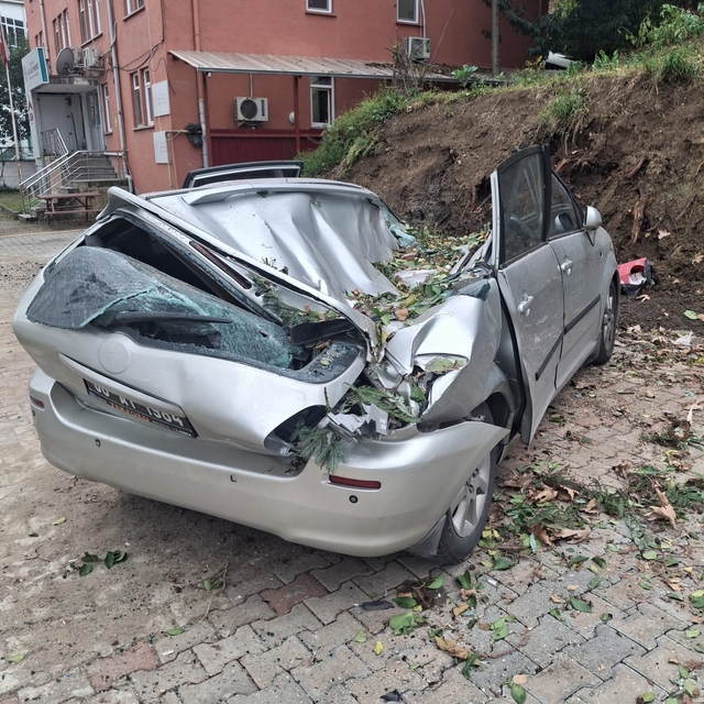 Giresun'da devrilen ağaç bir aracı kullanılamaz hale getirdi