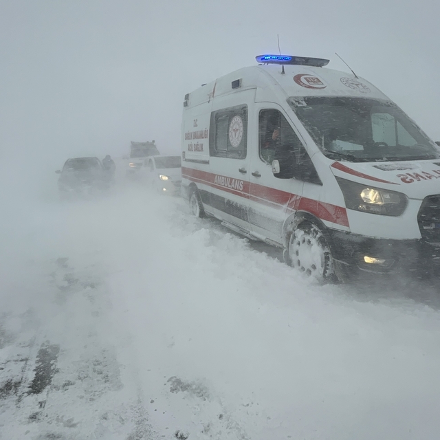 Sivas'ta kar yağışı (4)