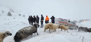Artvin'de çığ altında kalan 3 çobandan birinin cansız bedenine ulaşıldı