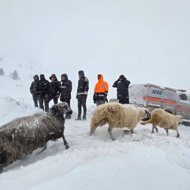 Artvin'de çığ altında kalan 3 çobandan birinin cansız bedenine ulaşıldı
