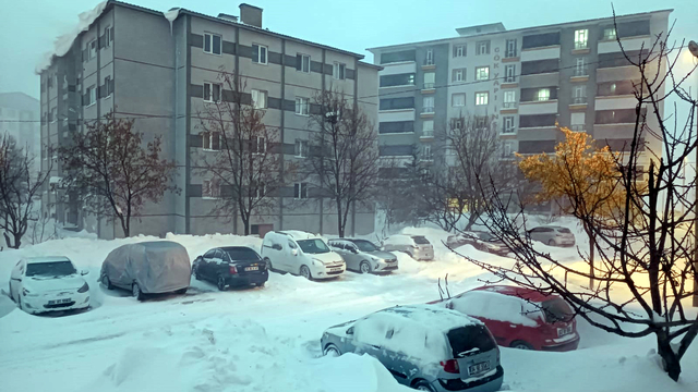 Bitlis'te yüksek gerilim hattında zorlu kış mesaisi (2)