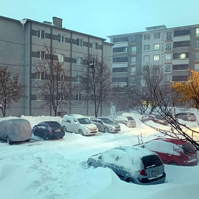 Bitlis'te yüksek gerilim hattında zorlu kış mesaisi (2)