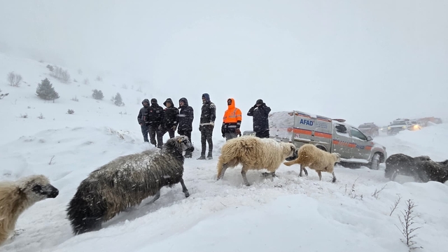 Artvin'de çığ altında kalan 3 çobandan birinin cansız bedenine ulaşıldı